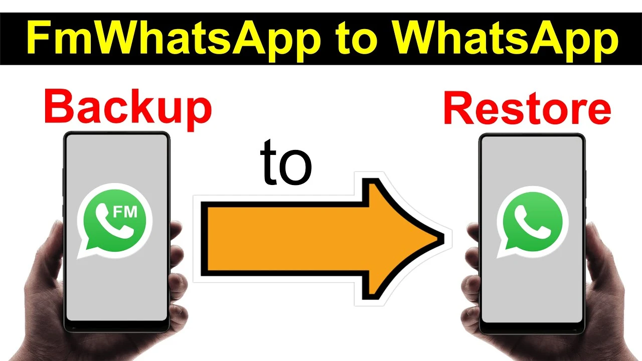 create backup from fm whatsapp to whatsapp